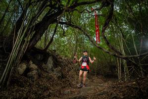 BIB: 
                            <button type="button" onclick="openModal(22177377)" class="btn btn-primary btn-sm float-right btn-popup" data-toggle="modal" data-target=".modal-high-quality">
                        <i class="fas fa-shopping-cart"></i> Add to Cart
                    </button>
                                            <button type="button" onclick="isThisMe(22177377, true)" class="btn btn-success btn-sm float-right btn-popup btn-isme hidden" data-toggle="tooltip" data-placement="bottom" title="นี่คือรูปของคุณใช่ไหม คลิกที่นี่เพื่อเอาเข้าอัลบั้ม">
                        <i class="fas fa-plus"></i> Add to album
                    </button>
                    <button type="button" onclick="isThisMe(22177377, false)" class="btn btn-warning btn-sm float-right btn-popup btn-isnotme hidden">
                        <i class="fas fa-ban"></i> Remove from album
                    </button>